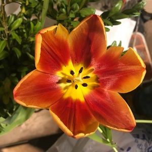 Meet your Posher, Kaye